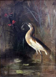 Heron and Salamander